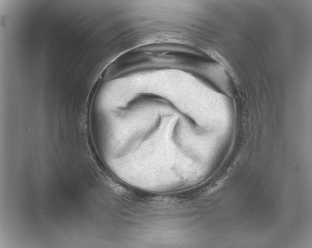 X0000074231081200609222027