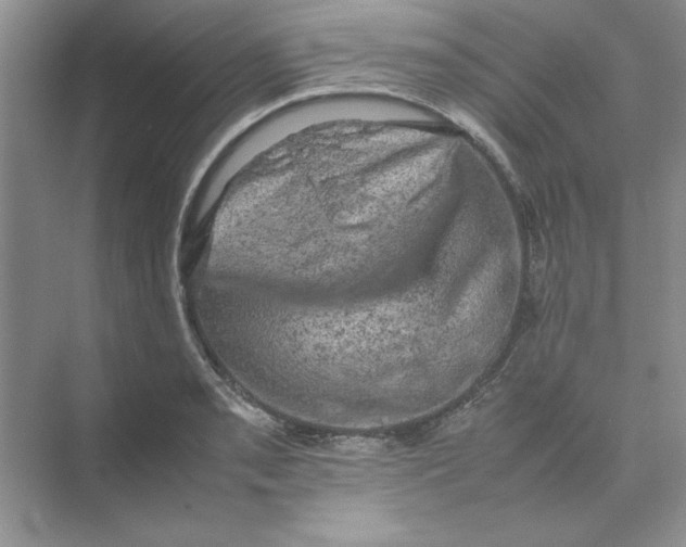 X0000074231085200609222027