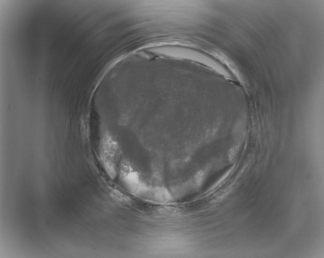 X0000074231097200609222027