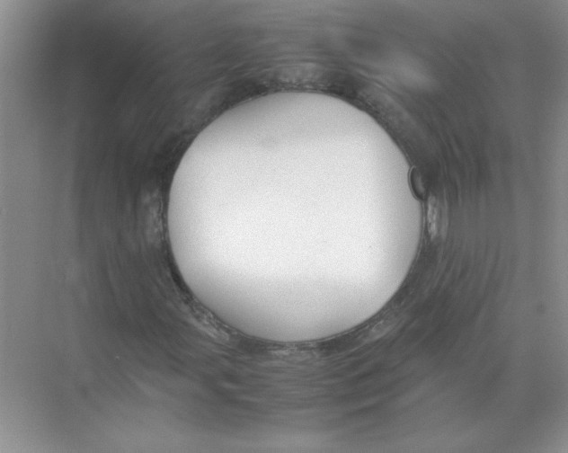 X0000074231107200609222026