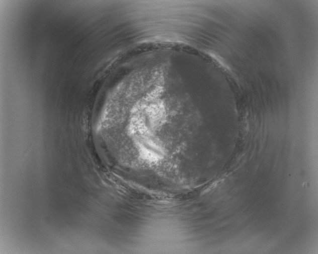 X0000074231110200609222026