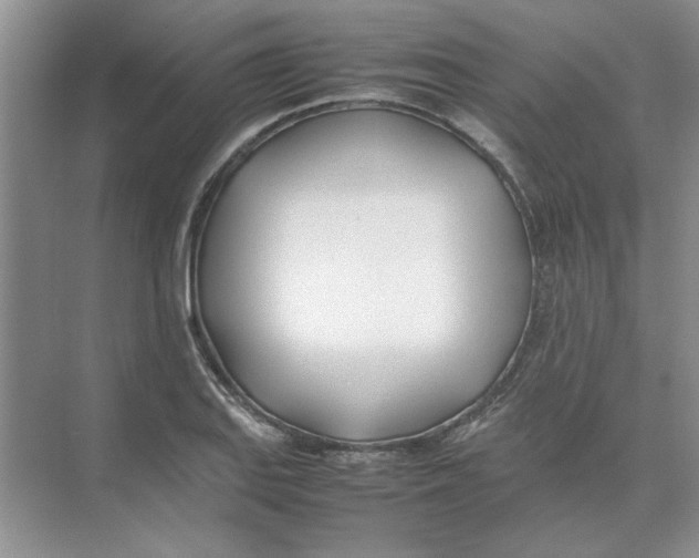 X0000074231127200609222026