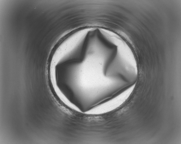 X0000074231133200609222026