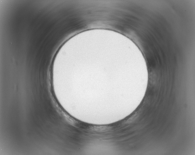 X0000074231150200609222027