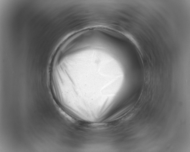 X0000074231151200609222027