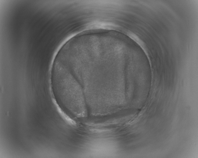 X0000074231152200609222027