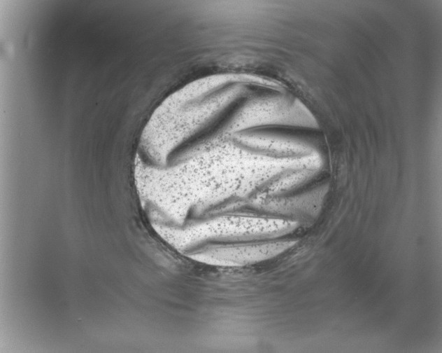 X0000074231153200609222026
