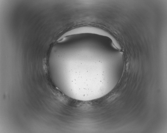 X0000074231156200609222026