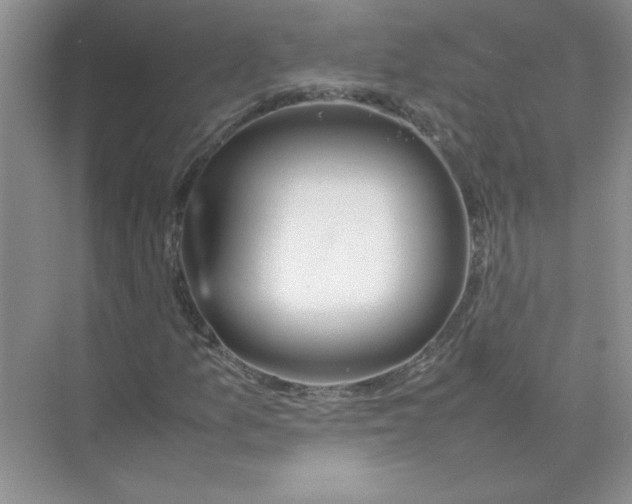 X0000074231157200609222026