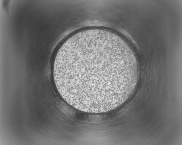 X0000074231167200609222025