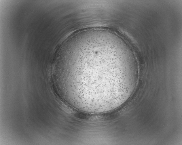 X0000074231169200609222025