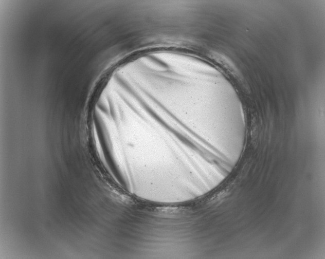 X0000074231172200609222025