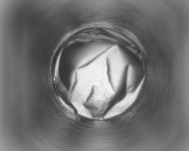 X0000074231176200609222025
