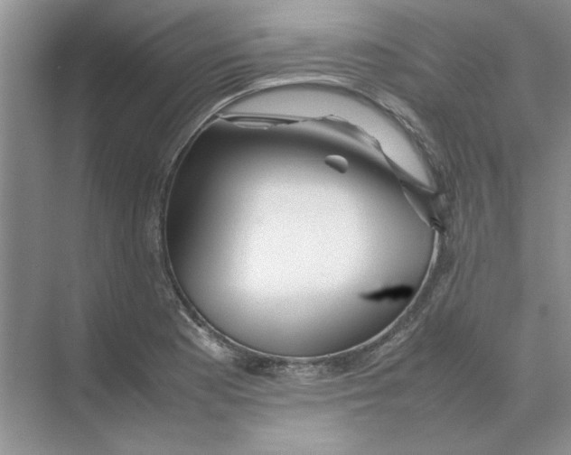 X0000074231177200609222025