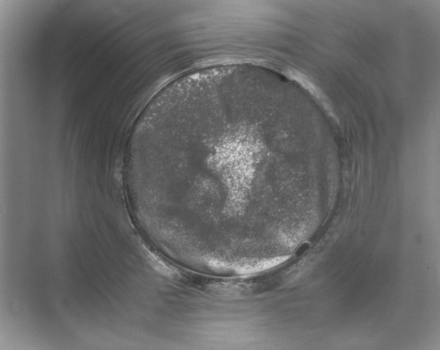 X0000074231185200609222025