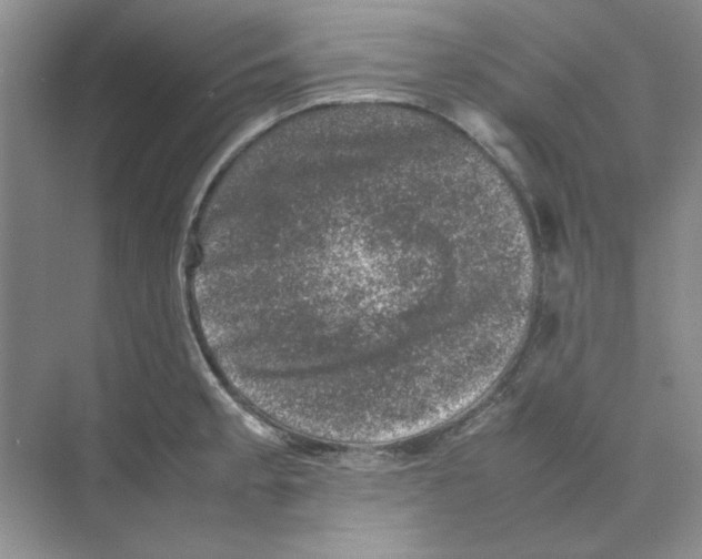 X0000074231189200609222025