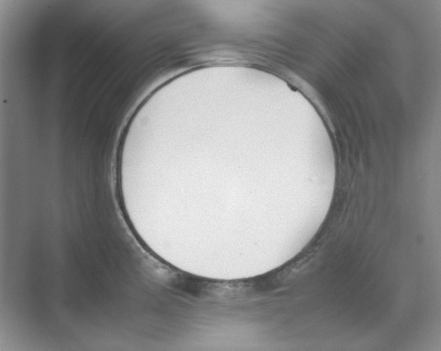 X0000074231195200609222025
