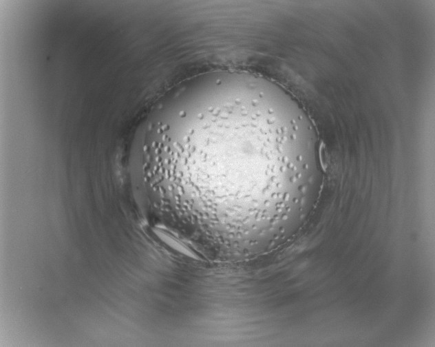 X0000074231202200609222024