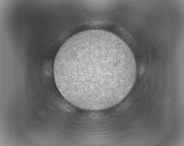 X0000074231204200609222024