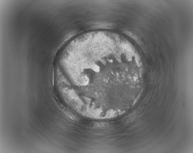 X0000074231219200609222024