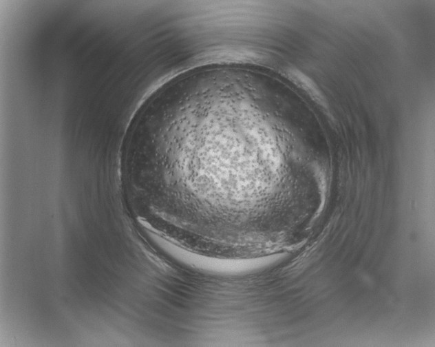X0000074231226200609222025