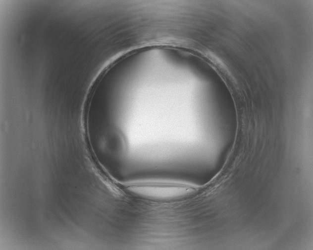 X0000074231230200609222025