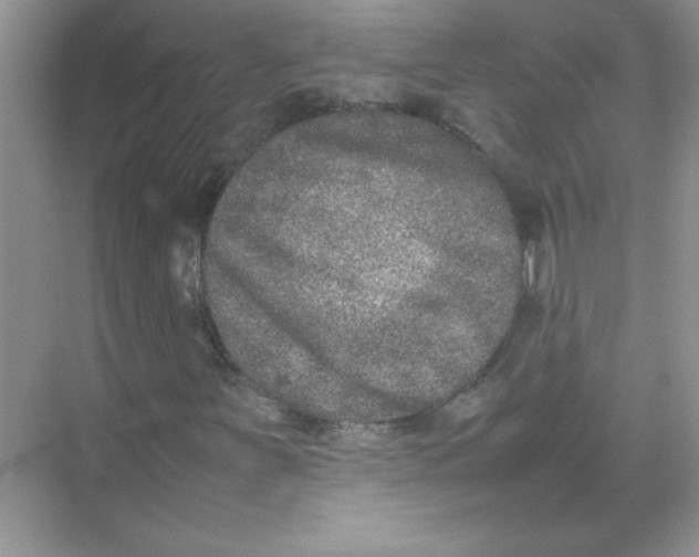 X0000074231251200609222024