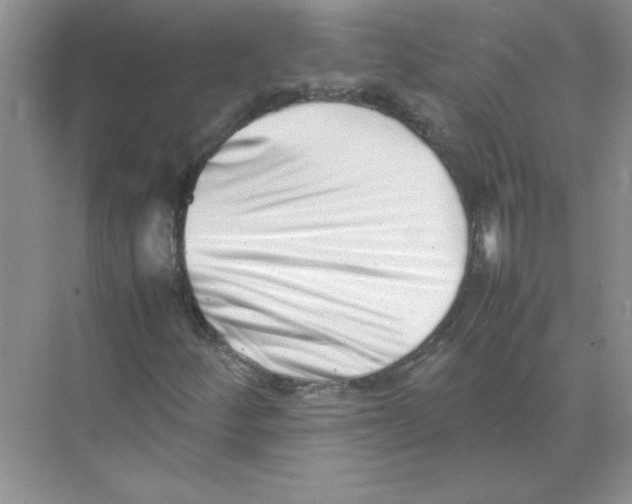 X0000074231252200609222024