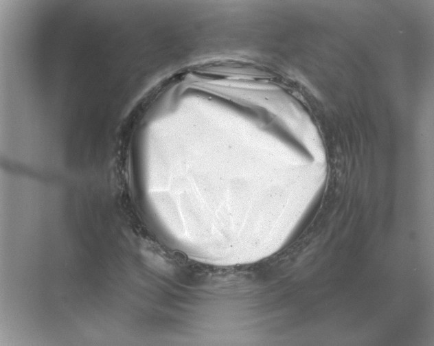 X0000074231256200609222024
