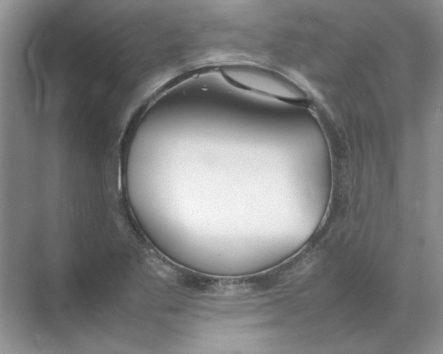 X0000074231269200609222024