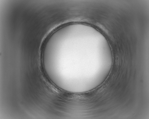 X0000074231270200609222024