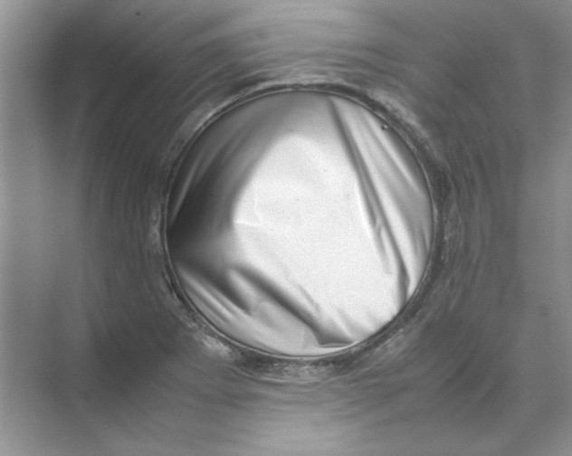 X0000074231273200609222024