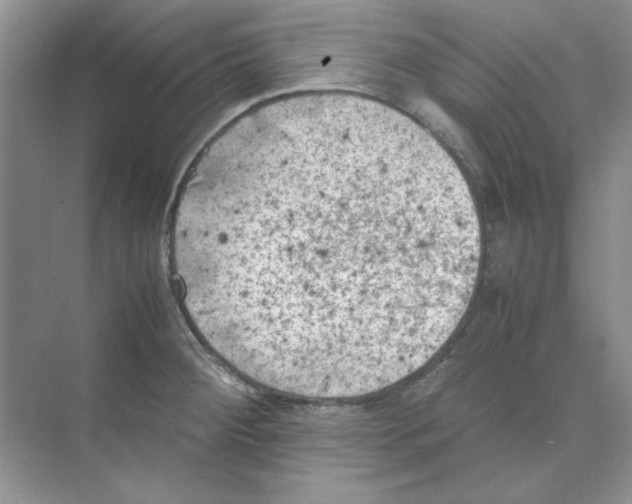 X0000074231284200609222024