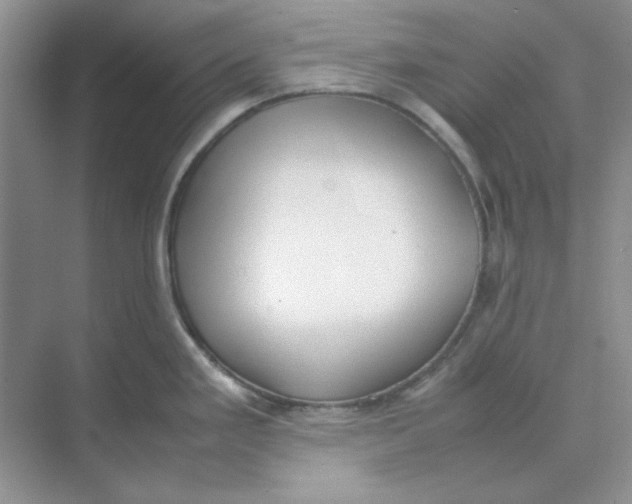 X0000074231293200609222023
