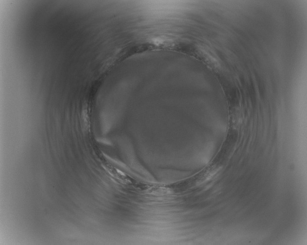 X0000074231298200609222023
