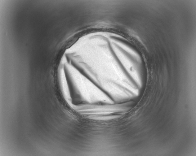 X0000074231304200609222023