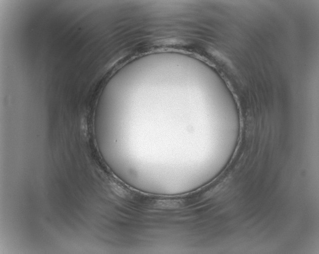 X0000074231305200609222023