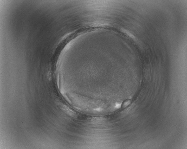 X0000074231306200609222023