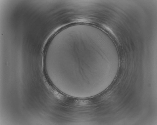 X0000074231323200609222023