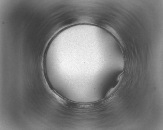 X0000074231339200609222023
