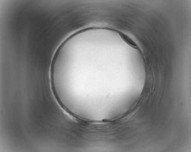 X0000074231343200609222023