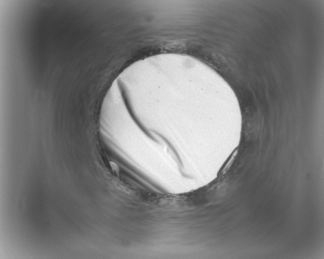 X0000074231345200609222022