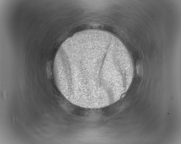 X0000074231347200609222022