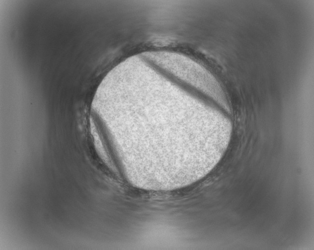 X0000074231349200609222022