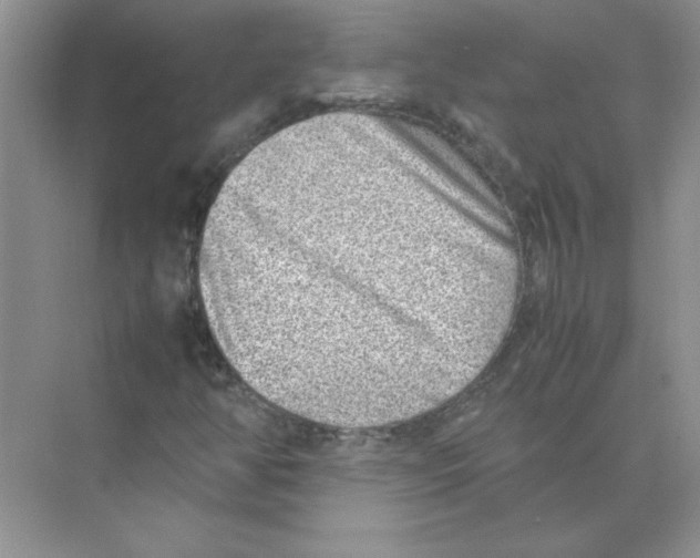 X0000074231350200609222022
