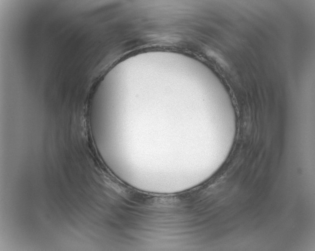 X0000074231354200609222022