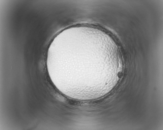 X0000074231359200609222022