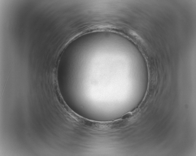 X0000074231361200609222022