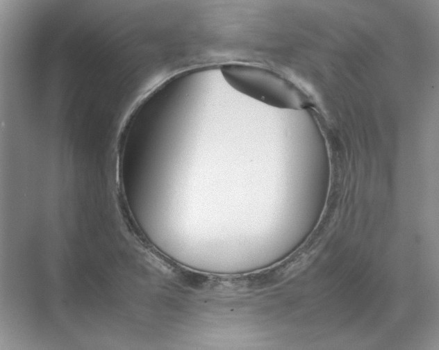 X0000074231365200609222022