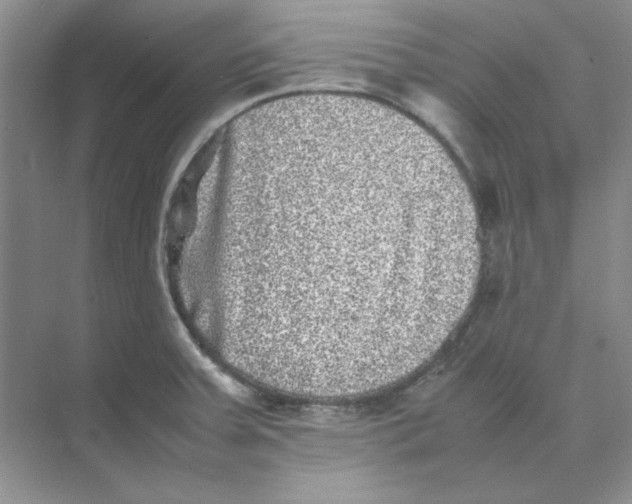 X0000074231379200609222022
